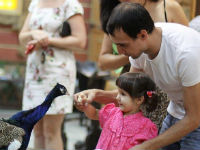 Волгоградский Трогательный зоопарк объявляет о начале фотоконкурса