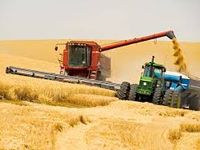 В Волгоградской области сбор зерна приближается к 2 млн. тонн