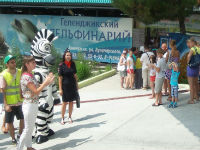 Студенты ВолгГАСУ отправились в отпуск с зеброй