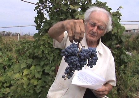 В волгоградском музее открывается экспозиция, посвященная легендарному виноградарю