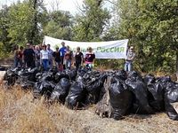 Волгоградские экологи собрали в лесу 110 мешков мусора