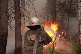 В Серафимовическом районе локализован лесной пожар