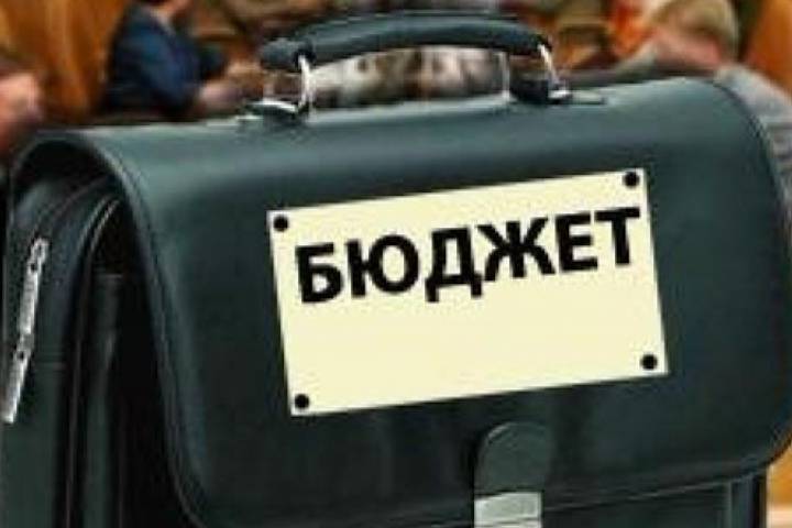 Администрация Волгоградской области представит для публичного обсуждения проект бюджета-2016