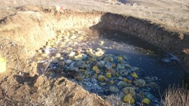 В Волгограде бытовые и медицинские отходы сливают в яму