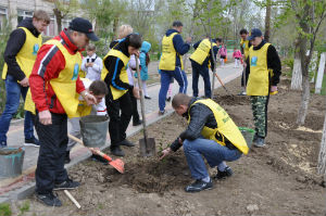Территория Новорогачинской школы пополнилась новыми молодыми деревьями