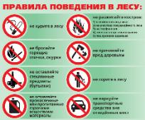 В Волгоградской области продлили ограничение на посещение лесов
