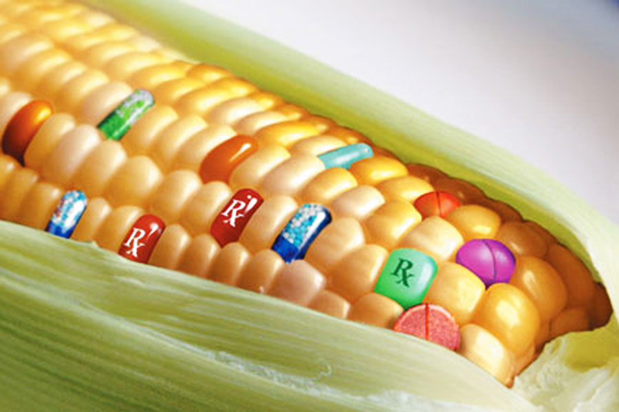 Победа над ГМО