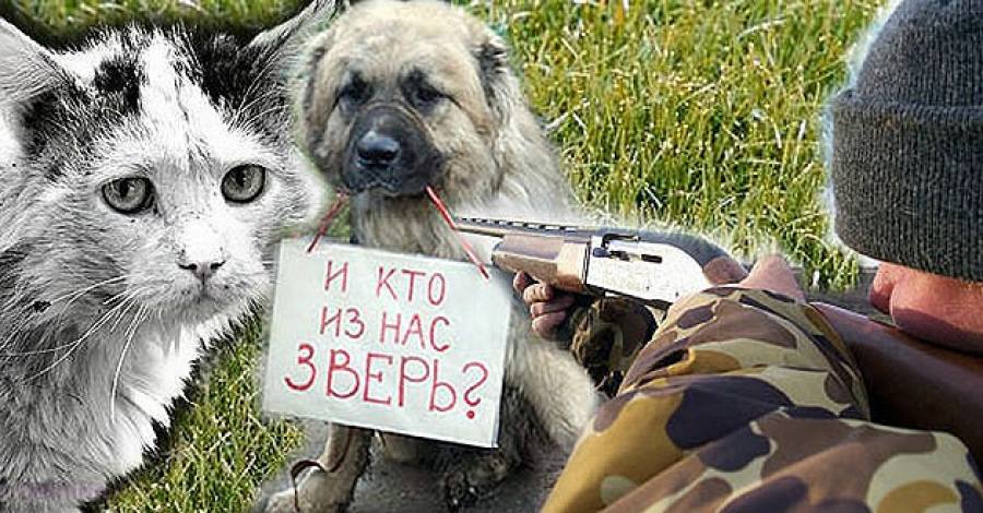 Олег Михеев: «Для живодеров не может быть никакой пощады!»