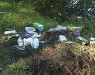 Волгоградцы очистили от мусора 50 гектаров Волго-Ахтубинской поймы 