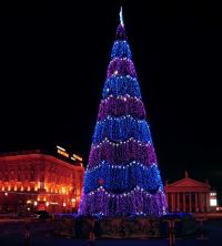 В Волгограде на площади Павших борцов зажглась главная новогодняя елка