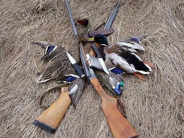 В Волгоградской области завершился сезон охоты на птиц