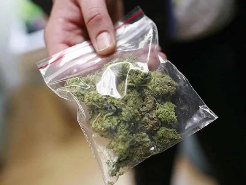 Жителю Волгоградской области грозит 10 лет за хранение марихуаны