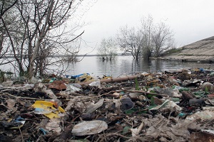 В России появится законопроект по защите рек