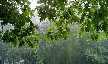 Волгоградцев ждут пасмурные выходные с дождями и грозами