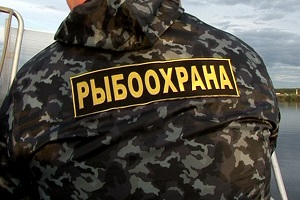 Из рыбака выбили 50 тысяч рублей железной лестницей