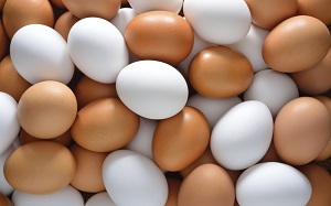 Чем отличаются коричневые яйца от белых?