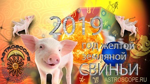Год Свиньи: общий гороскоп на 2019 для всех знаков Зодиака