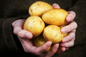 Мифы о картошке