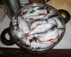 Как солят рыбу на Крайнем Севере