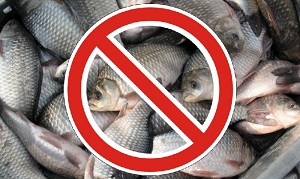 Штрафы за рыбалку увеличены в 10 раз