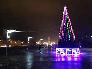 На Новый год Волгоград украсят 25 елок