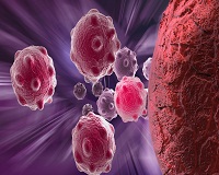 Учёные обнаружили новый механизм борьбы с раком