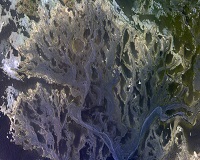 Опубликовано фото высохшей марсианской реки