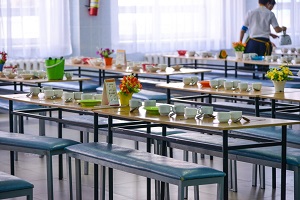 В России запустят общественный мониторинг школьной еды