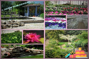 Волгоградский ботанический сад отмечает 16-й день рождения