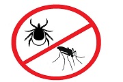 Три лучших средства от комаров и клещей