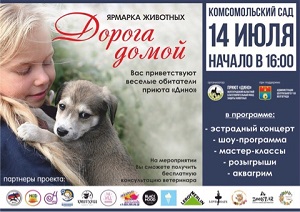 В Волгограде пройдет ярмарка животных «Дорога домой»