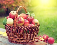 Сегодня – Яблочный Спас