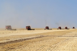Аграрии региона собрали уже 3 млн тонн зерна