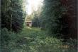 домик в лесу