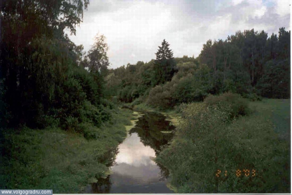 парк в Павловске. река, лес, парк