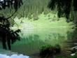 Горное лесное озеро,вид из леса