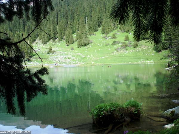 Горное лесное озеро - вид изнутри.. лес, горы, горное озеро