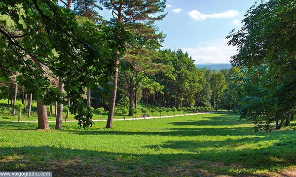 Парк огромный,многоуровневый,но траву  косят,некоторые места поливают машиной.. Кисловодск, парк, природа
