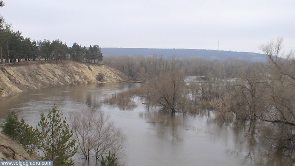 Алексеевская весна 2008г.. Природа, река, половдье