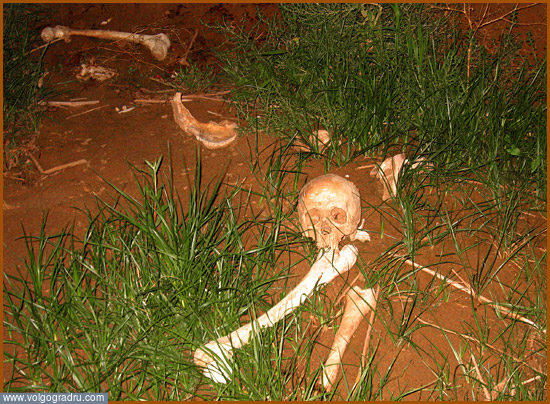 Скелеты людей, умерших несколько столетий назад. Очевидное, фотоарт, Приморск Волгоградской области