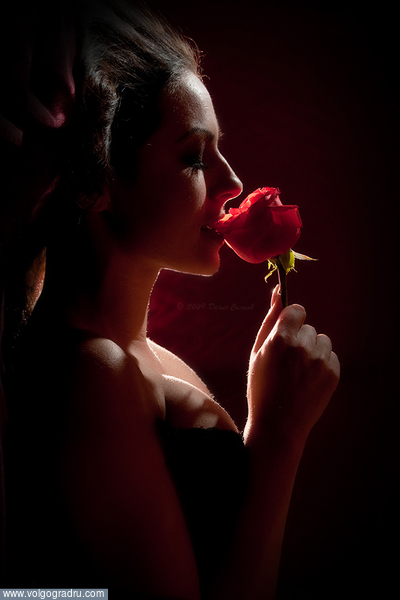 ***. Девушка, роза, цветы