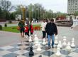 Парк шахматы
