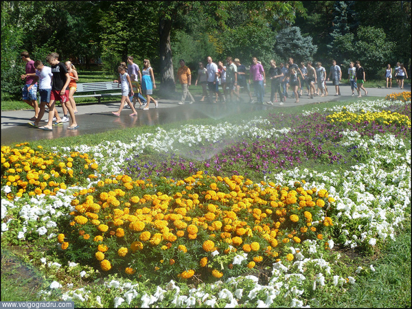 "Последние дни августа" (2-3). парки, цветы, последние дни августа