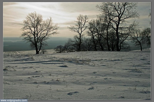 ***. Зима, зимний пейзаж, пейзажи Волгоградской области