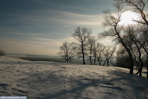 ****. пейзажи Волгоградской области, пейзажи Урюпинского района, Зима