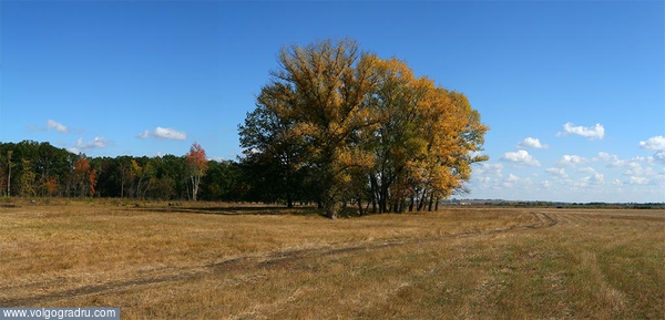 Панорама из трех вертикальных кадров.. Пейзаж, пейзажи Волгоградской области, пейзажи Урюпинского района