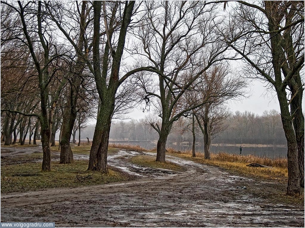 *****. поздняя осень, пейзаж осенний пейзаж, пейзажи Урюпинского района
