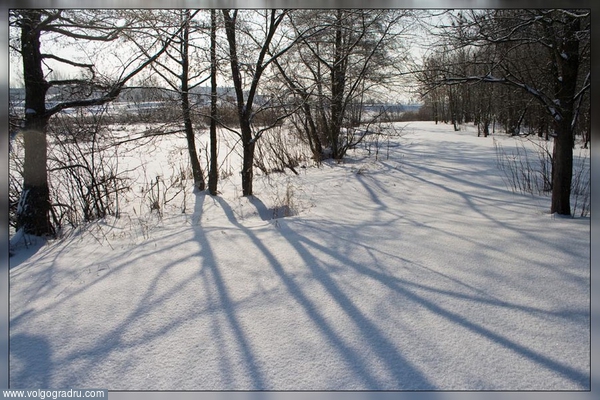Утро 18.02.2010. пейзажи Урюпинского района, утро, лес
