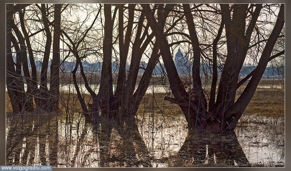 За озером "Подпесочным".. пейзажи Урюпинского района, разлив, весна