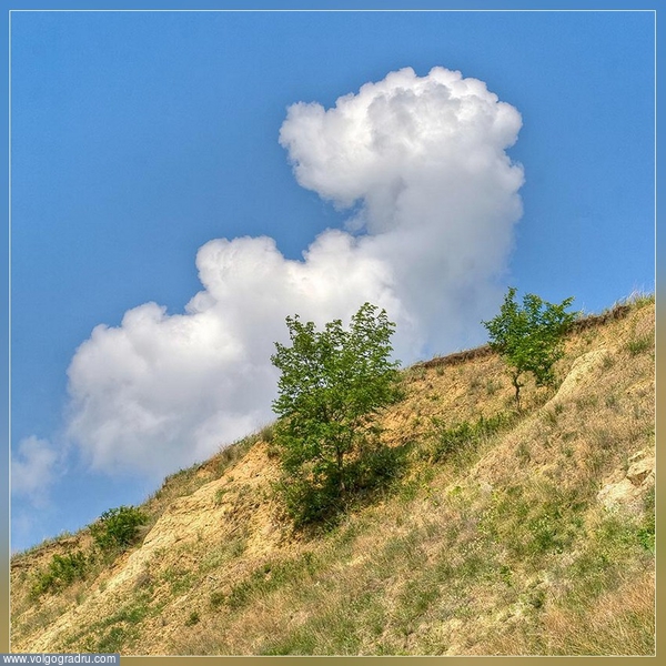 Облако похоже на лежащего на спине медведя... или собаку.... Небо, облако, пейзажи Урюпинского района